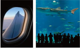 飛行機の窓/水族館の水槽